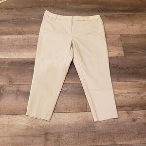 Liz Claiborne Career Women, Size:  16W